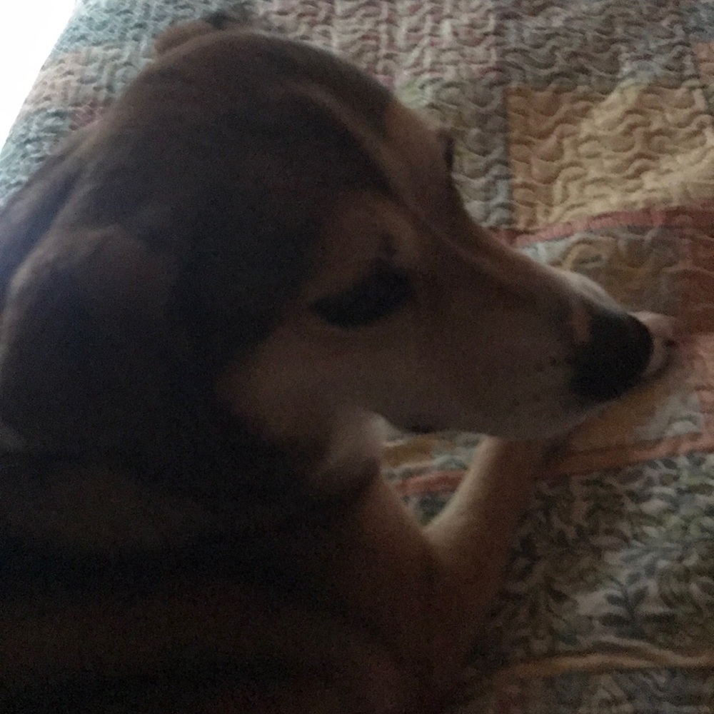 Meet your Posher, Janice